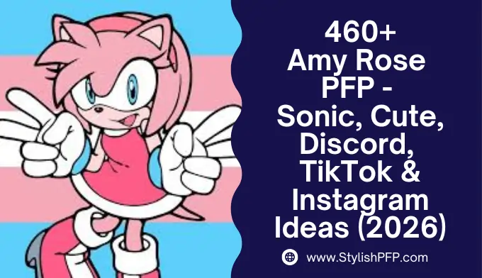 Amy Rose PFP