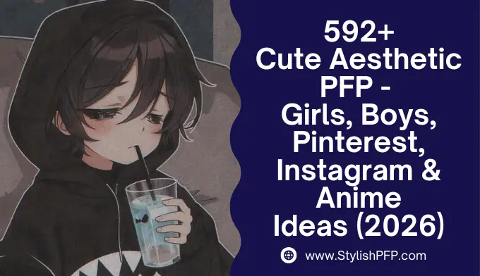 Cute Aesthetic PFP