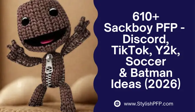 Sackboy PFP