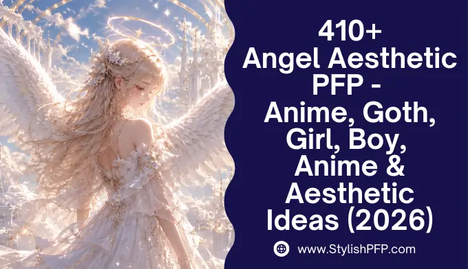 Angel Aesthetic PFP